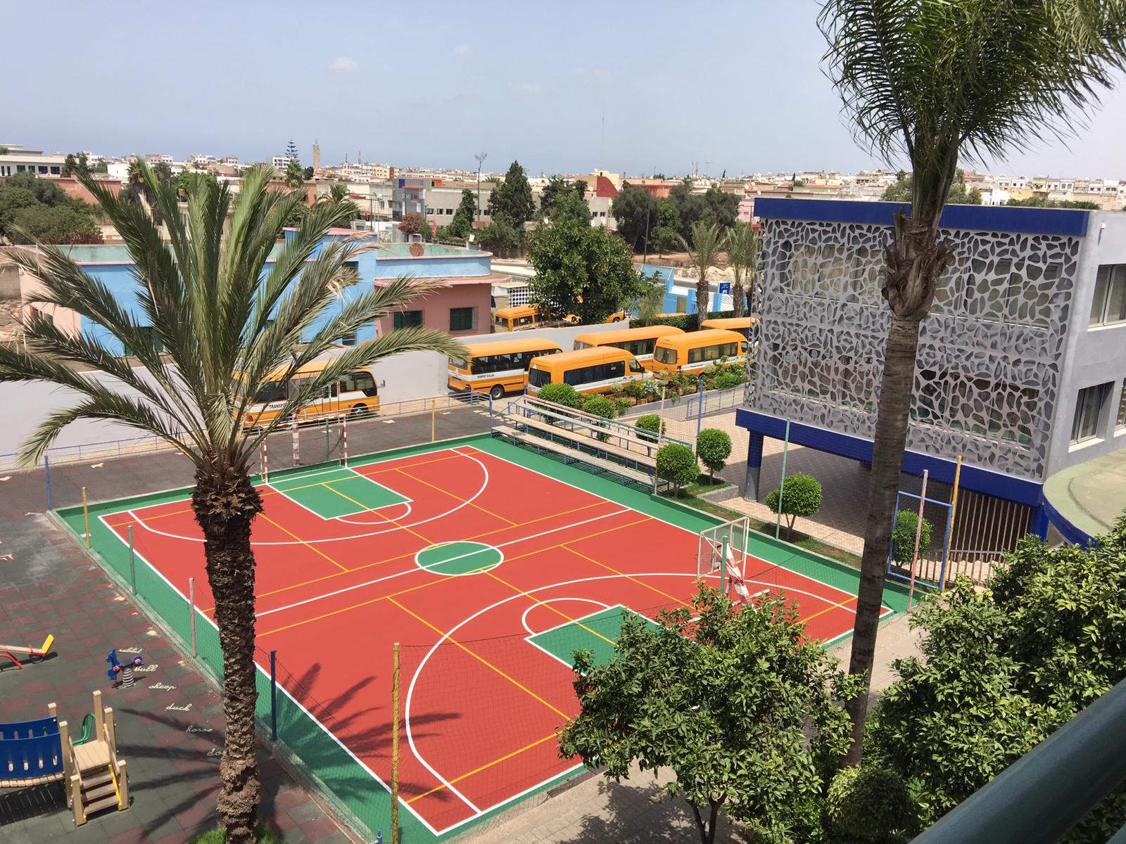 Palm trees surrounding sports area