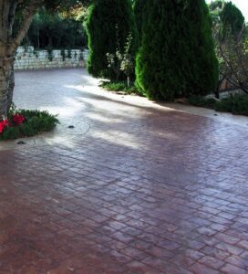 Curved path lined with tall bushes