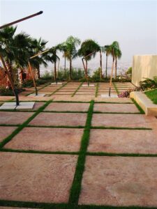 Stone path with palm trees