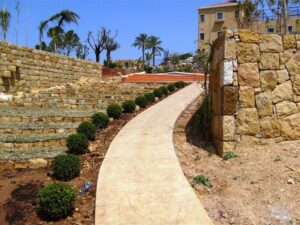 Stone path with shrubs and trees