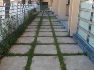 Stone pathway with grass lines