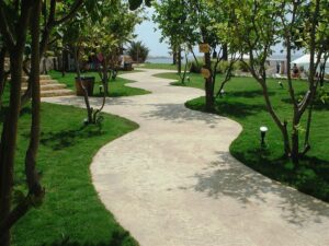 Garden path winding towards the beach