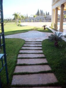 Elegant garden with paved pathway
