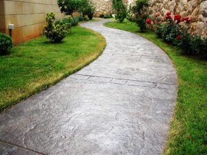 Stone walkway surrounded by plants