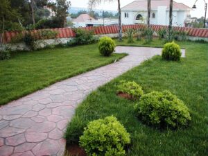 Garden with stone path and bushes