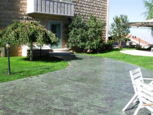 Sunny backyard with trees and pathway