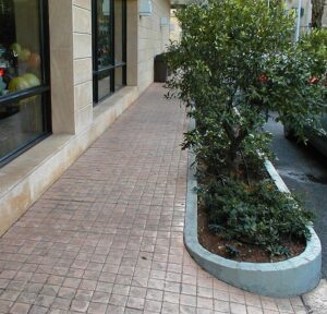 Urban sidewalk with plants