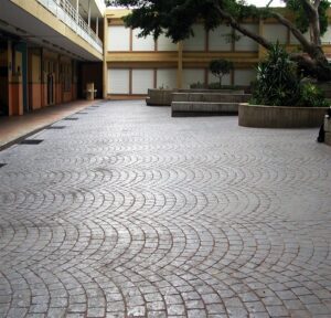 Quiet courtyard with building and plants