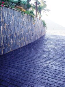 Stone pathway with wall and plants