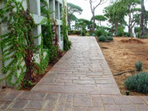 Paved walkway in landscaped garden