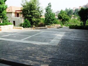 Tranquil garden area with stone path