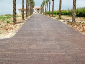 Palm-lined driveway leading to house