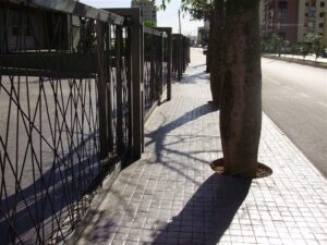 City street with tree-lined sidewalk