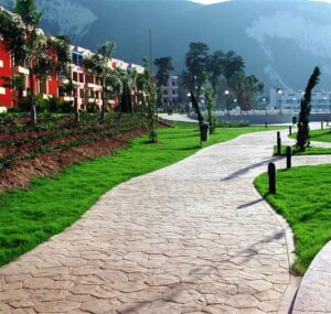 Green landscape with paved path and trees