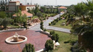 Green garden featuring a central fountain