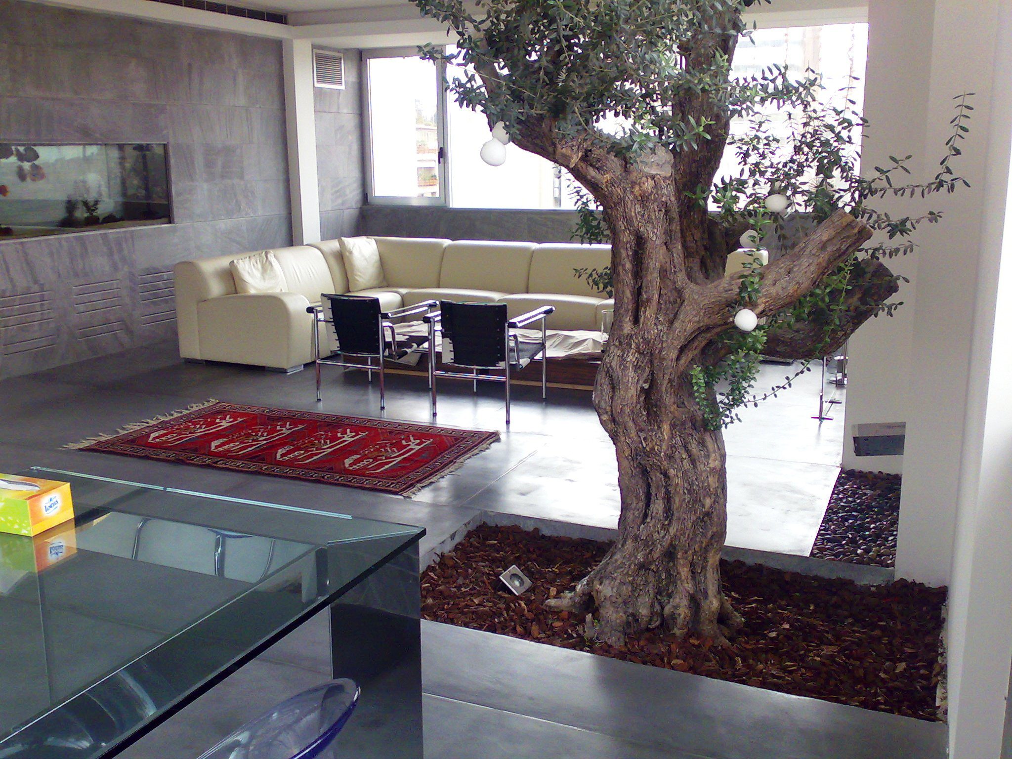 Contemporary space with sofa and tree