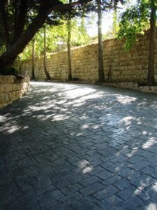 Serene pathway with trees and shadows
