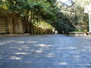 Stone pathway under trees