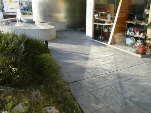 Plants beside concrete walkway