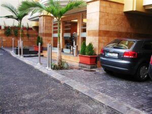 Urban street with palm trees and plants