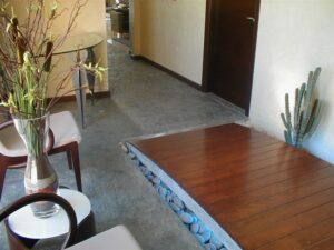 Indoor decor with cactus and plants