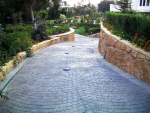 Scenic driveway surrounded by greenery