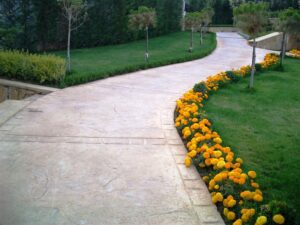 Garden path lined with marigolds