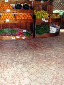 Assorted fruits and vegetables arranged neatly