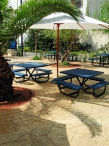 Sunny patio with blue picnic benches