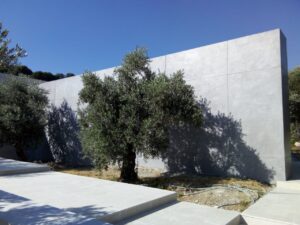 Olive tree casting shadow on wall