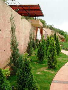 Garden path with evergreen trees