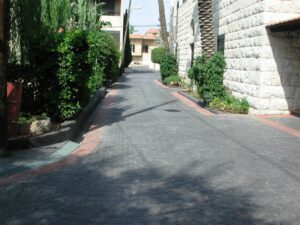 Narrow stone path with green hedges
