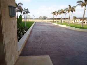 Palm-lined pathway with clear sky