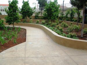 Garden pathway with green plants