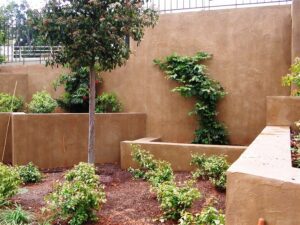 Modern garden with concrete walls