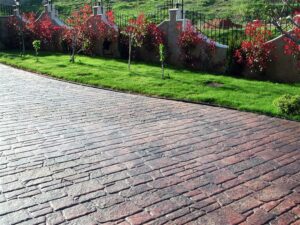 Paved path with red flowers