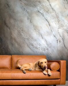 Dog lounging on brown leather sofa