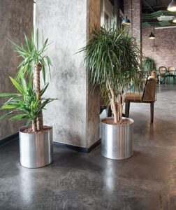 Indoor plants in metal pots