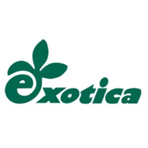 Exotica logo – TopCrete decorative concrete client